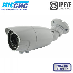 IP камера MATRIX MT-CW1080IP40VSE DC